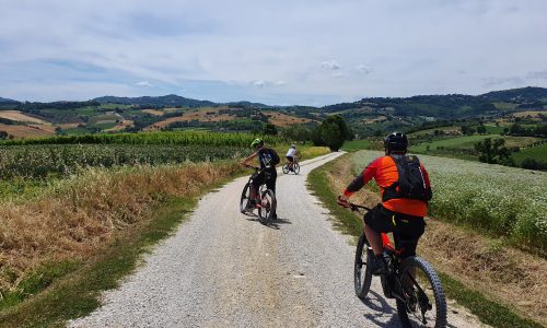 Escursioni in bicicletta in Valconca