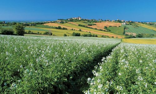 San Clemente, campagne della Valconca