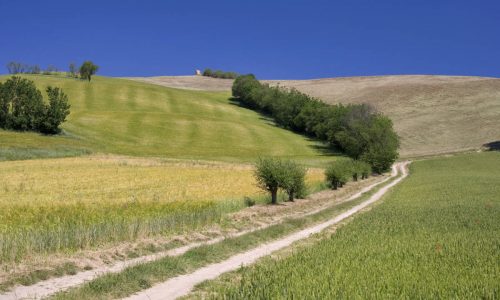 Campagna di Mondaino - Valconca