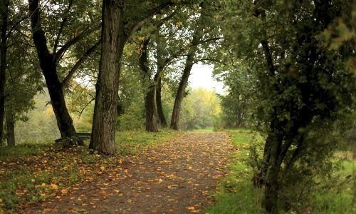 Sentiero Autunnale in Valconca