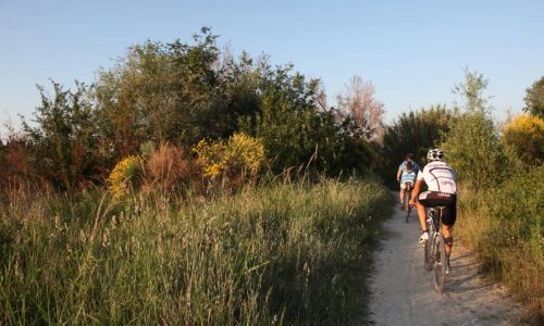 Escursioni in bicicletta a Morciano di Romagna