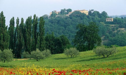 Vista di Montegridolfo