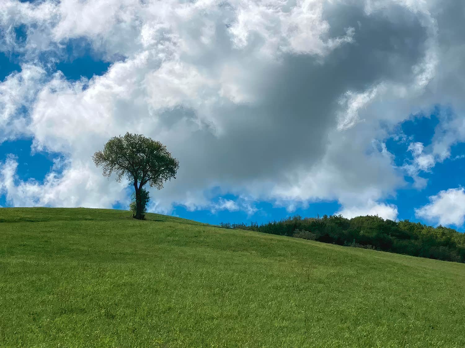 Ponte-del-1-maggio-in-Valconca-foto-di-Remo-Magnani