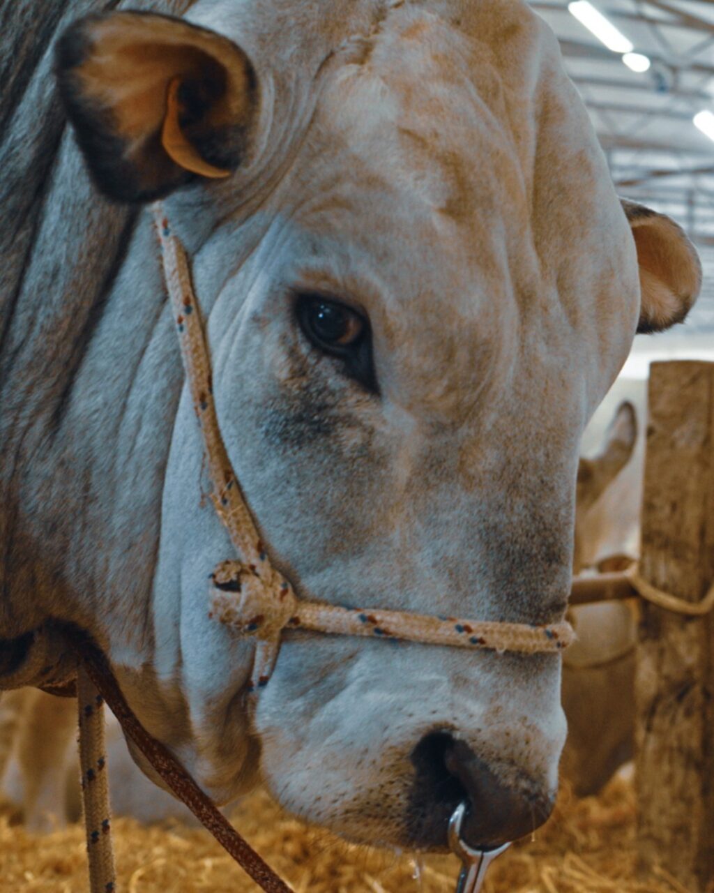 Instagram post from lavalledellevacanze. This post is in position 2.