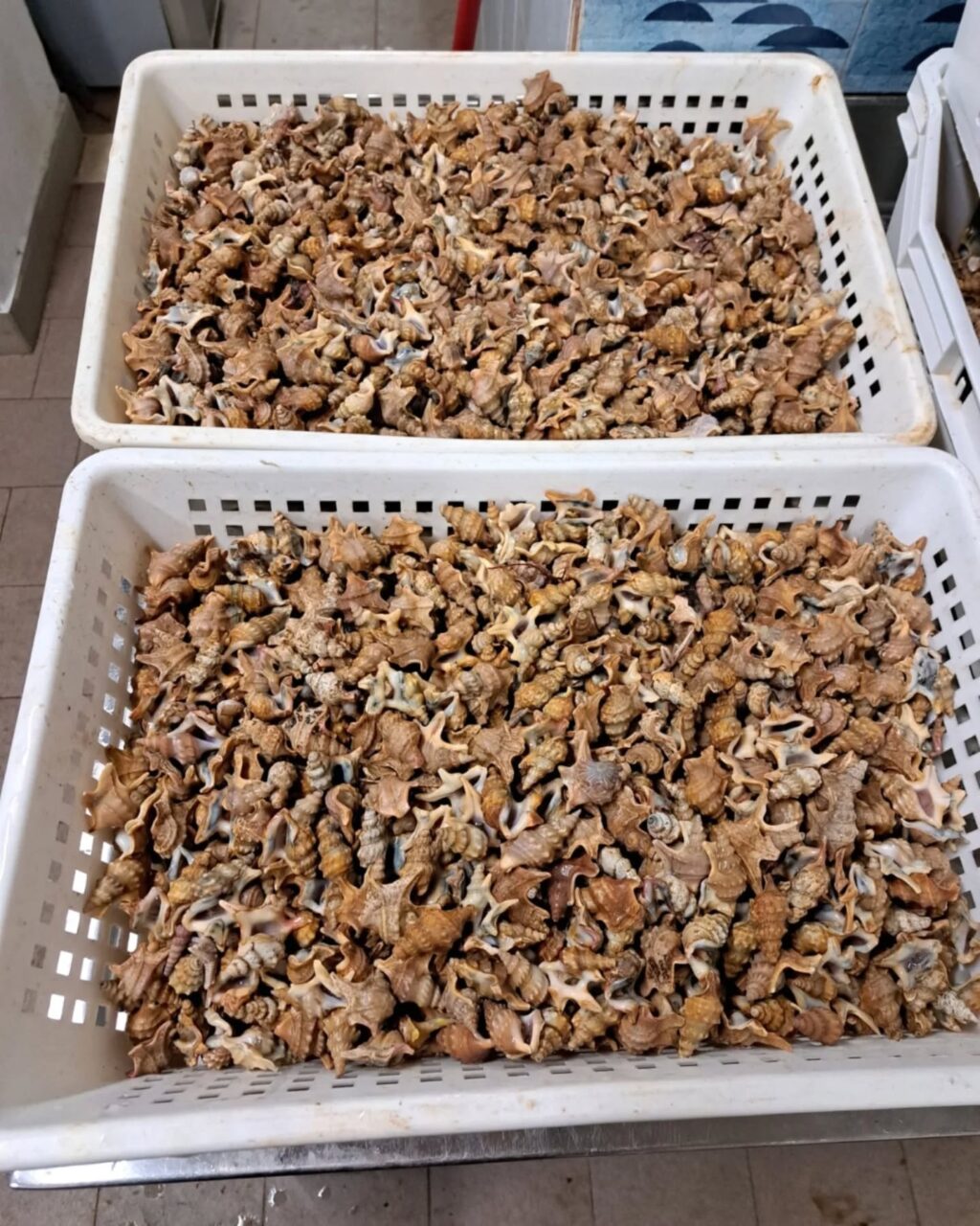 Instagram post from lavalledellevacanze. This post is in position 1.