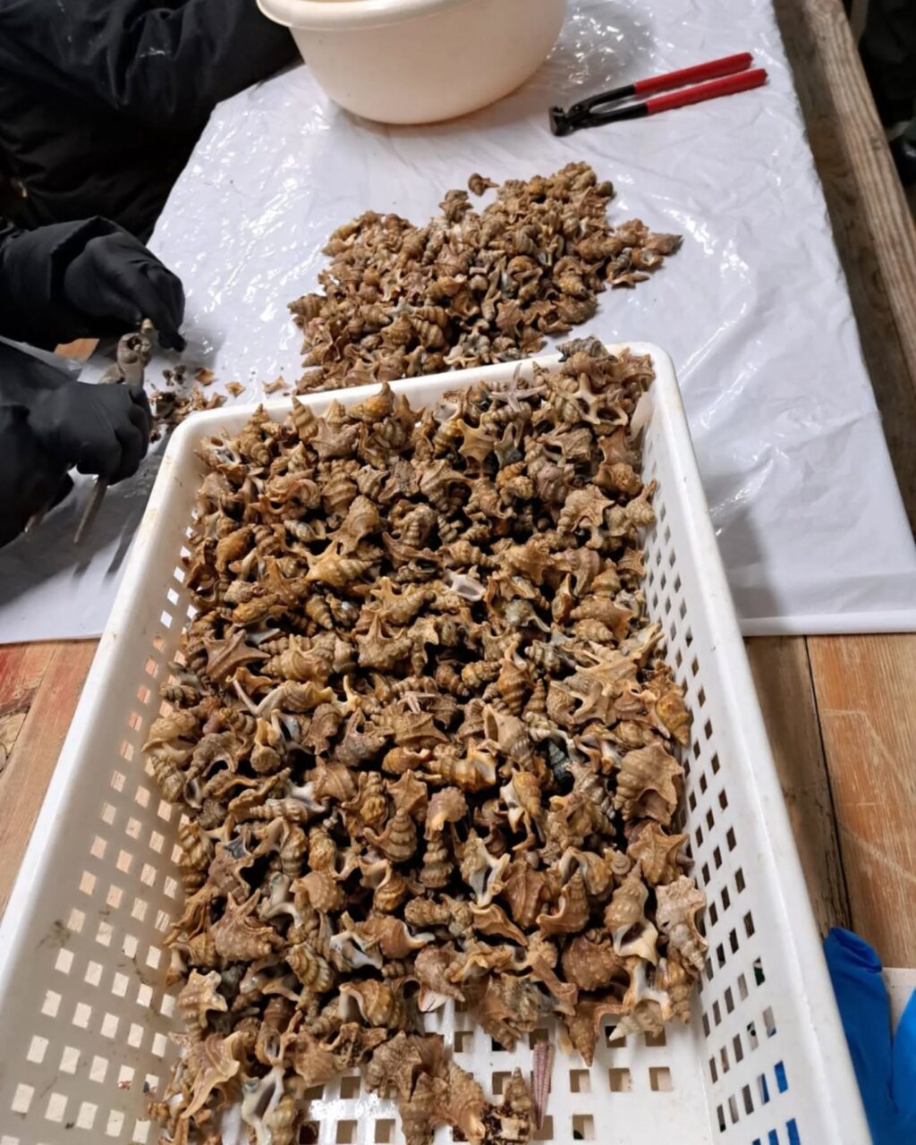 Instagram post from lavalledellevacanze. This post is in position 2.