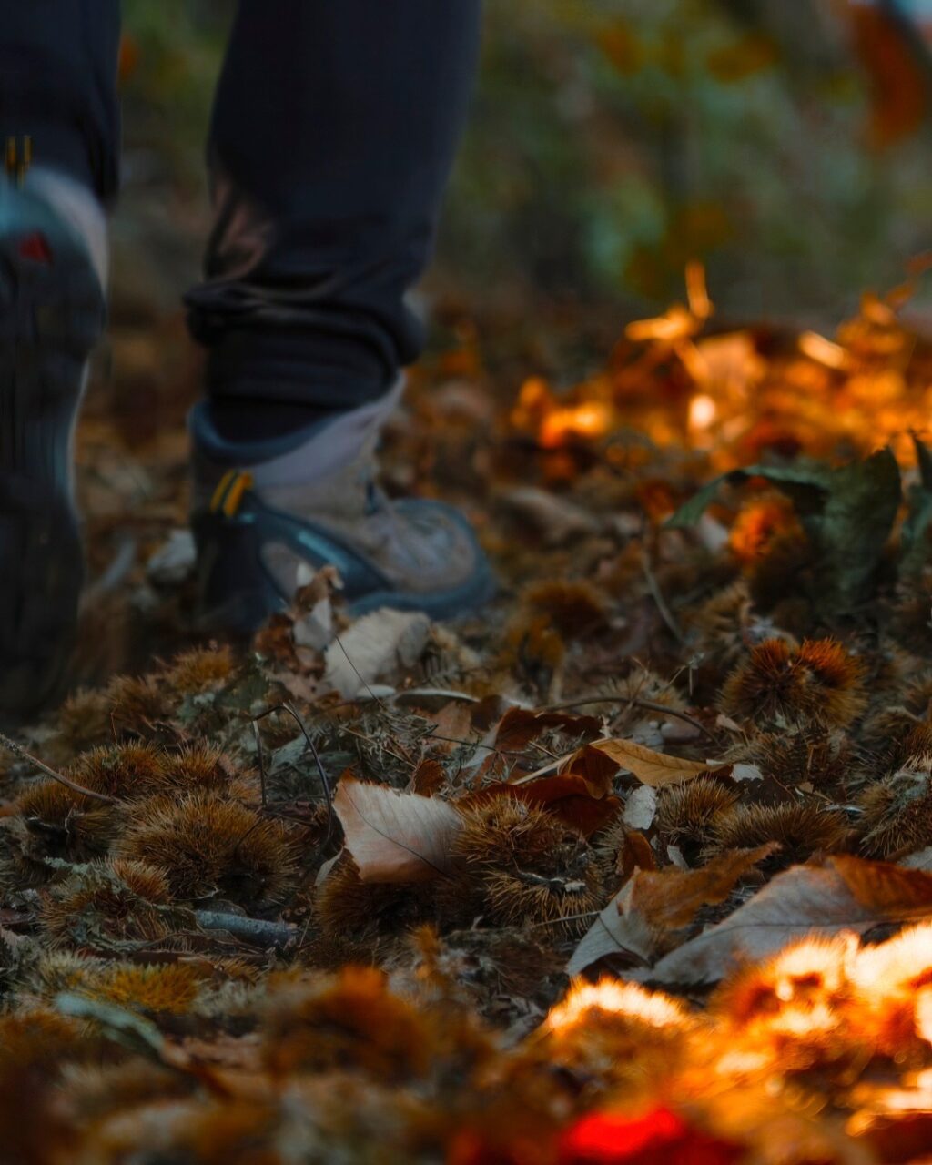 Instagram post from lavalledellevacanze. This post is in position 3.