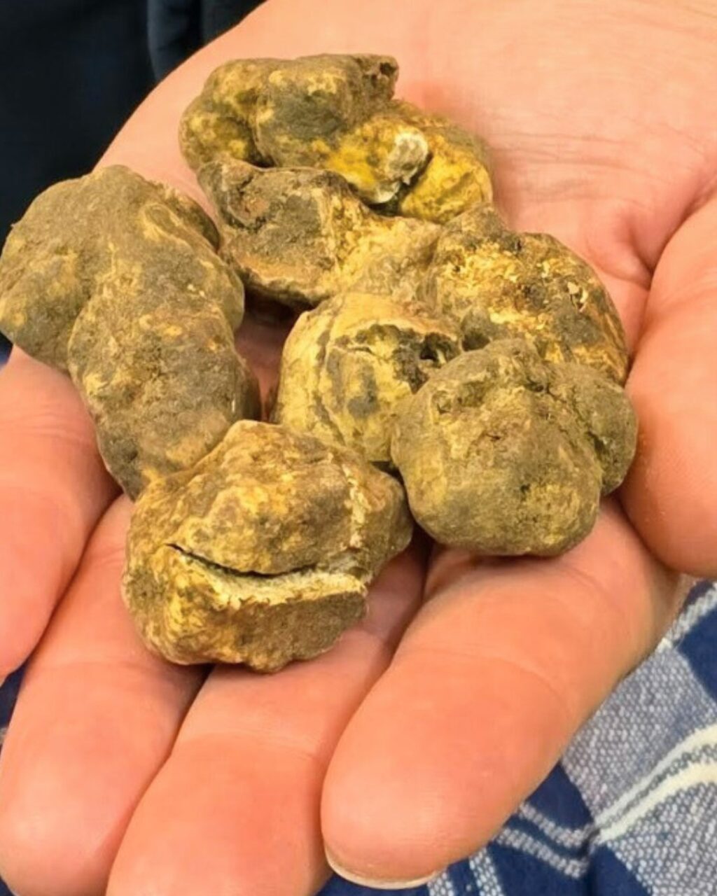 Instagram post from lavalledellevacanze. This post is in position 5.