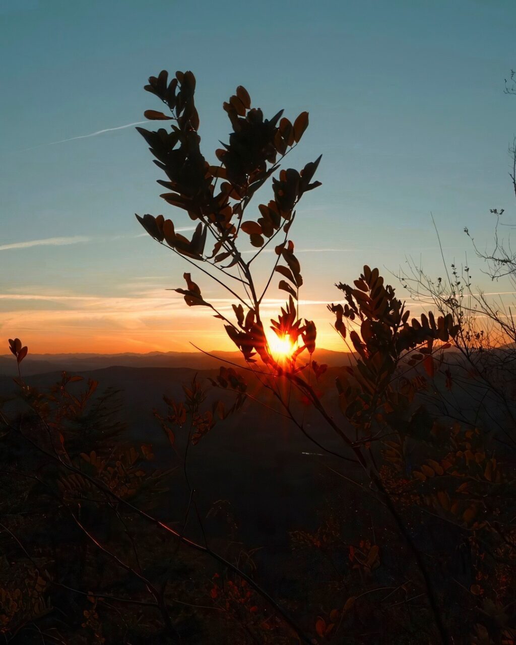 Instagram post from lavalledellevacanze. This post is in position 2.