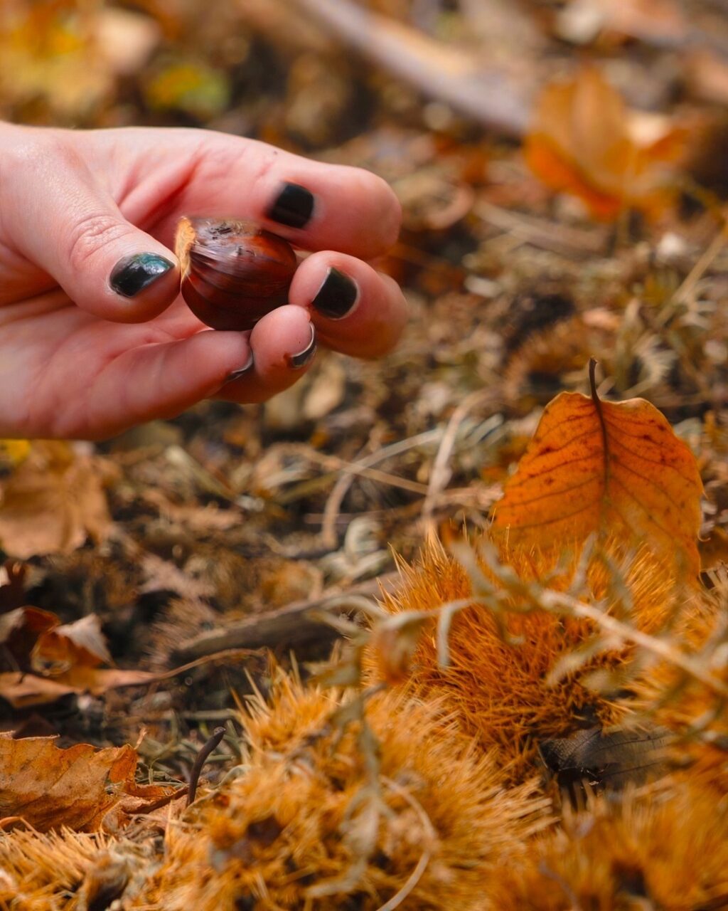 Instagram post from lavalledellevacanze. This post is in position 10.