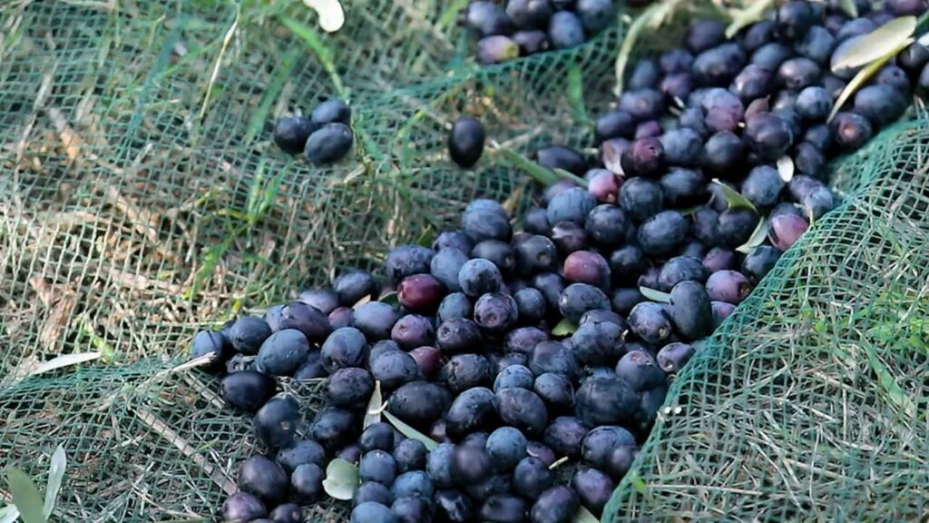 Instagram post from lavalledellevacanze. This post is in position 3.