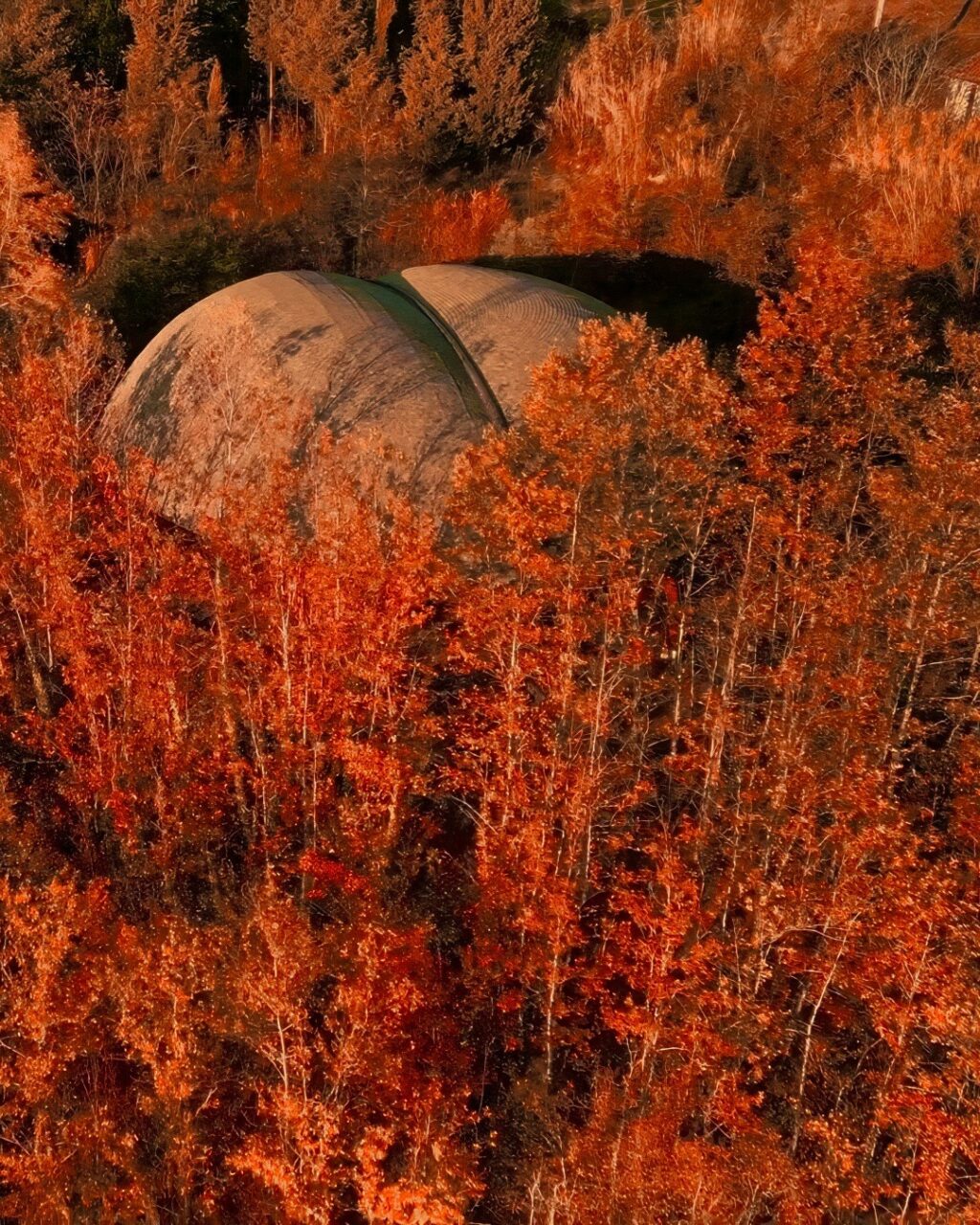 Instagram post from lavalledellevacanze. This post is in position 1.