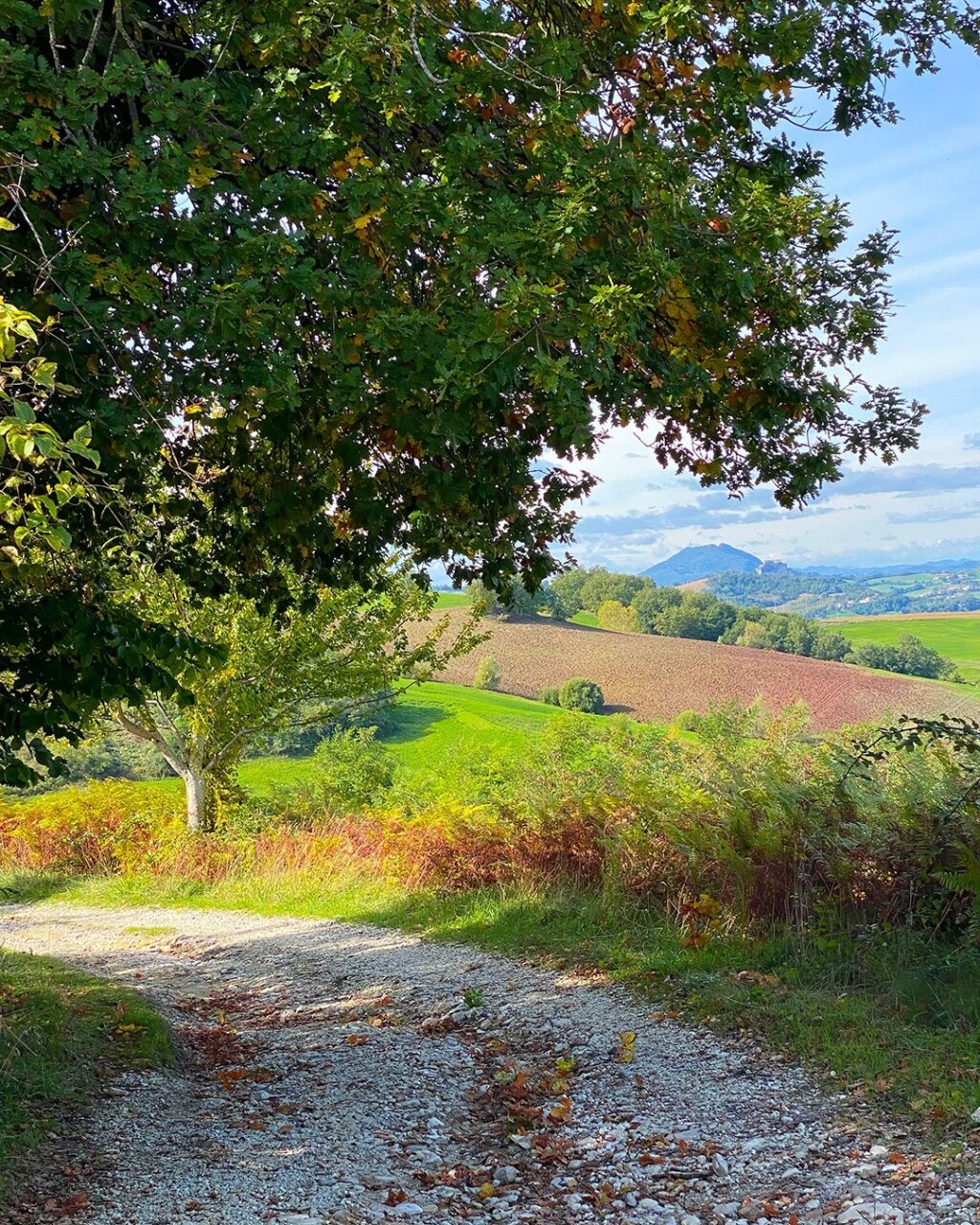 Instagram post from lavalledellevacanze. This post is in position 6.