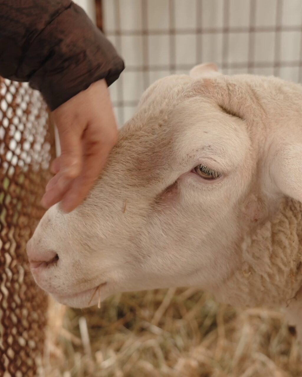 Instagram post from lavalledellevacanze. This post is in position 2.